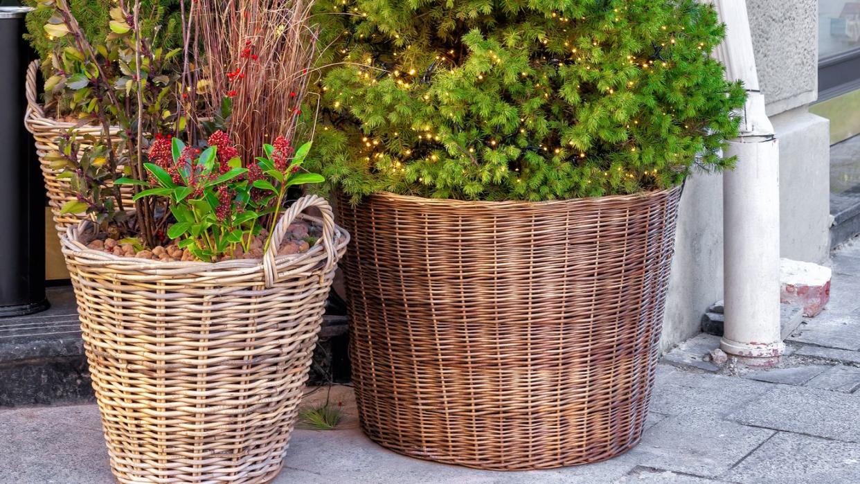 outdoor christmas planters trio