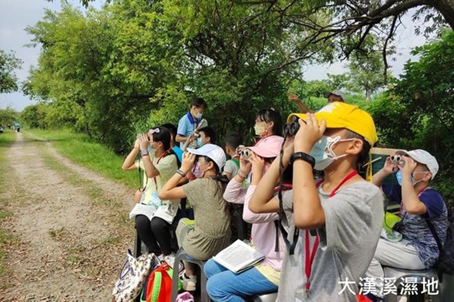 觀察濕地裡的鳥