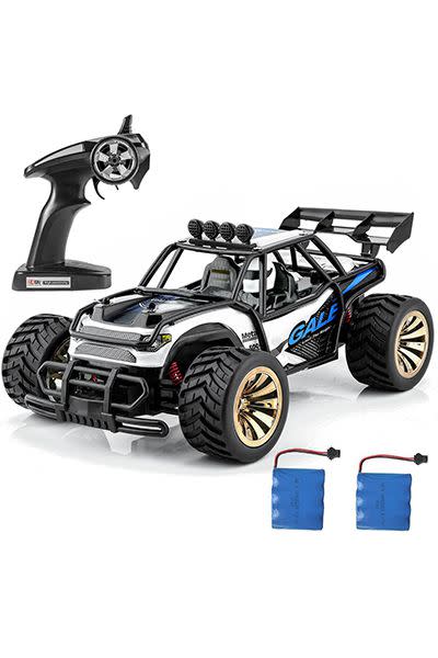 Distianert Electric RC Monster Truck