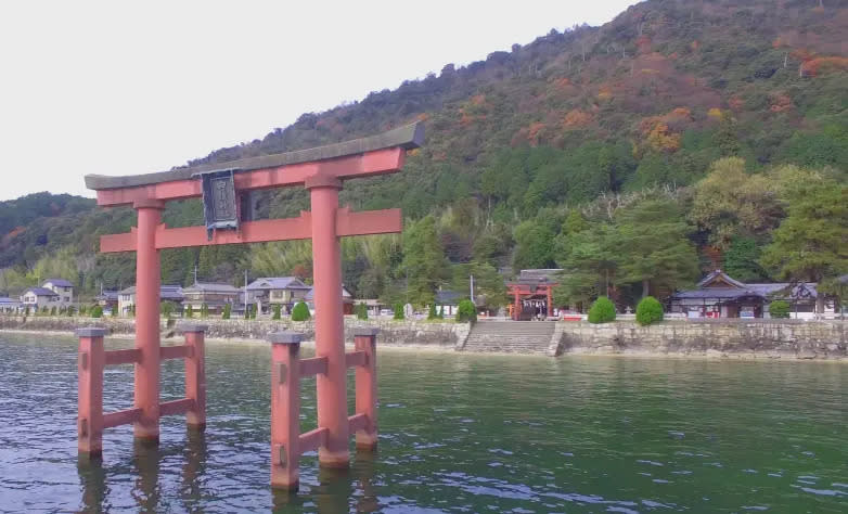 ▲位於滋賀縣琵琶湖畔的白鬚神社有著「近江之嚴島」稱呼，但也有不少觀光客為了拍照隨意穿越馬路，甚至還因此發生死亡事件。（圖／翻攝自白鬚神社官網）