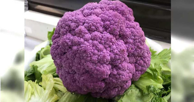 超市驚見 紫色花椰菜 價格翻倍營養價質 正確食用法報你知