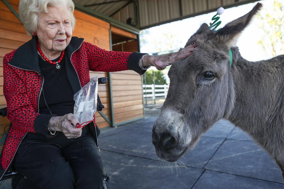 101-year-old Thella Muncy of Indian Wells has been close with her pet donkey Zeke for the last 32 years in Bermuda Dunes, December 16, 2019.
