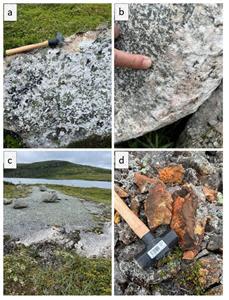 Figure 4: (a)- 1.5-2m wide pegmatite boulder, (b) contact between pegmatite dike and host granite, (c) false bleached granite caused by vegetation being removed by ice, snow, and wind.