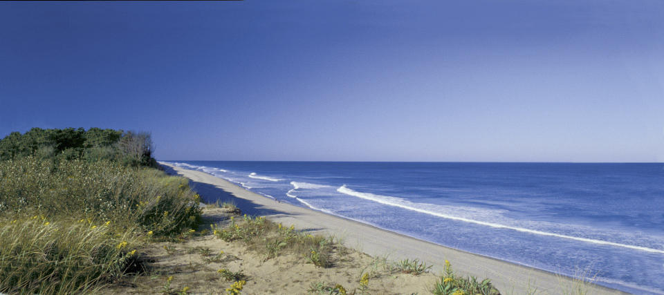 FILE- This file photo provided by the Cape Cod Chamber of Commerce shows Coast Guard Beach in Cape Cod, Mass. Coast Guard Beach is number nine on the 2013 list of Top 10 Beaches produced annually by coastal expert Stephen P. Leatherman, also known as "Dr. Beach," director of Florida International University's Laboratory for Coastal Research. (AP Photo/Cape Cod Chamber of Commerce, Margo Tabb, File)