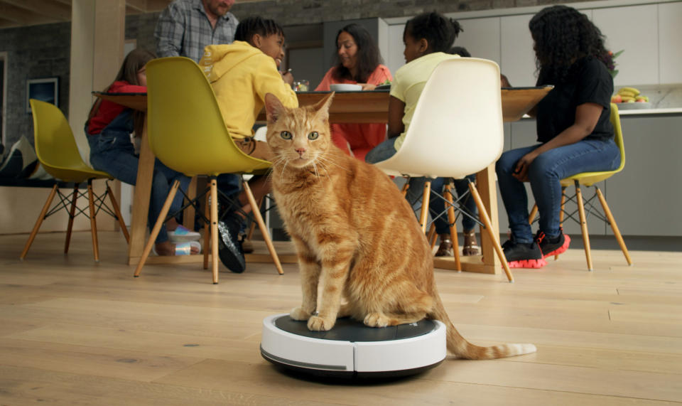 From Oxford Scientific Films

THE SECRET LIFE OF PETS 
Ep1 Communications
Tuesday 11th January 2021 on ITV 

Pictured A Ginger Cat sits on a Robot Vacuum Cleaner as a family eat at a table in the background

Owners everywhere have an instinctive urge to communicate with their beloved pets, but the holy grail is to truly understand what they are saying to us and discovering what they think and how they feel. Now, with the help of brand new science we discover how every animal has their own unique way of expressing themselves, and the incredible new technology thatÕs helping us to understand them. From the dog communicating with his owner using a system of buttons, to the parrots fooling Alexa into adding their favourite treats to the weekly shop, the rats constantly chatting away just above our hearing range, the guinea pigs born communicating, the rabbit helping an autistic child and the sniffer dog communicating with his owner to help to save the last Northern white Rhino on earth. We explore the extraordinary science behind interspecies communication.

(C) Oxford Scientific Films 

For further information please contact Peter Gray
peter.gray@itv.com  

This photograph is © Oxford Scientific Films and can only be reproduced for editorial purposes directly in connection with the  programme THE SECRET LIFE OF PETS  or ITV. Once made available by the ITV Picture Desk, this photograph can be reproduced once only up until the Transmission date and no reproduction fee will be charged. Any subsequent usage may incur a fee. This photograph must not be syndicated to any other publication or website, or permanently archived, without the express written permission of ITV Picture Desk. Full Terms and conditions are available on the website https://www.itv.com/presscentre/itvpictures/terms 


 