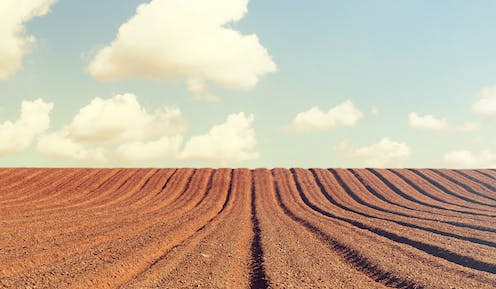 <span class="caption">Farmed landscapes have become less hospitable habitats for insects. </span> <span class="attribution"><a class="link " href="https://www.shutterstock.com/image-photo/agricultural-plowed-field-ploughing-arable-land-775349260" rel="nofollow noopener" target="_blank" data-ylk="slk:Protasov AN/Shutterstock;elm:context_link;itc:0;sec:content-canvas">Protasov AN/Shutterstock</a></span>