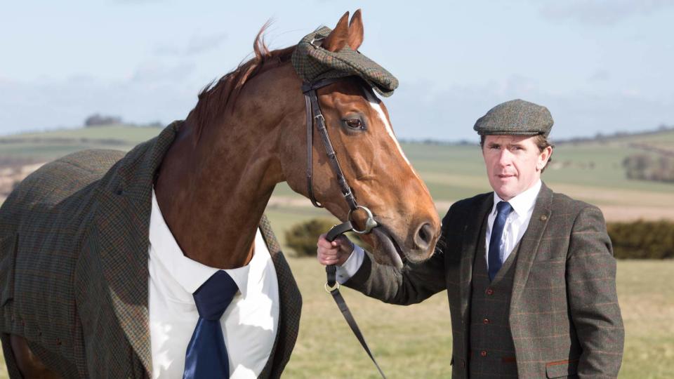 Horse Wears Tweed Ahead Of Cheltenham Festival