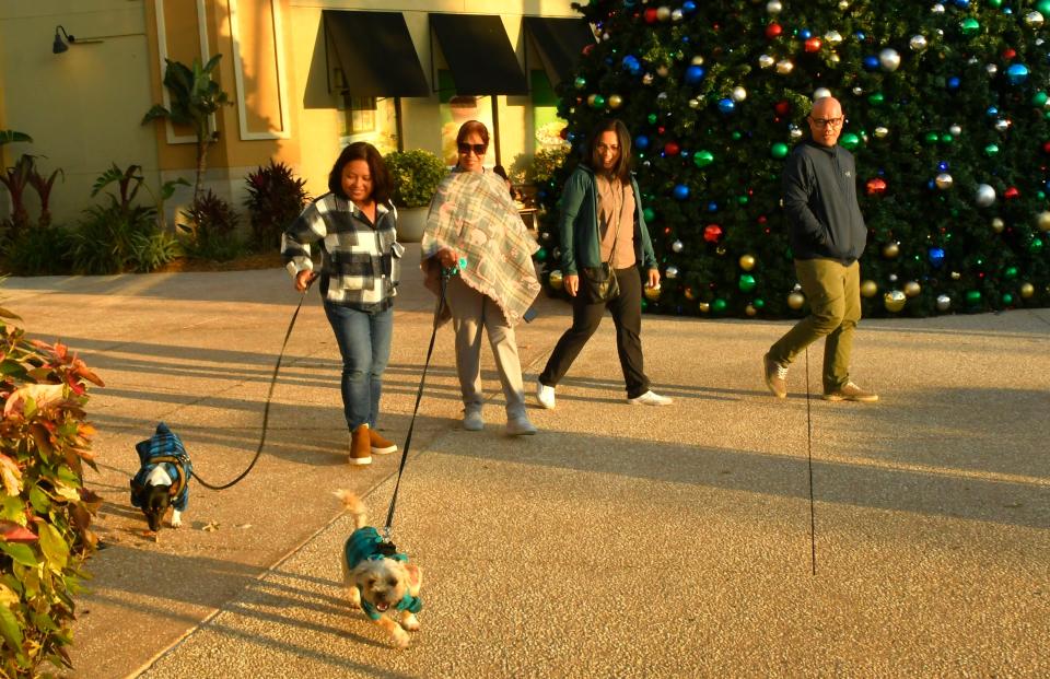 Holiday shoppers and their dogs stroll through The Avenue Viera, near the giant Christmas tree.