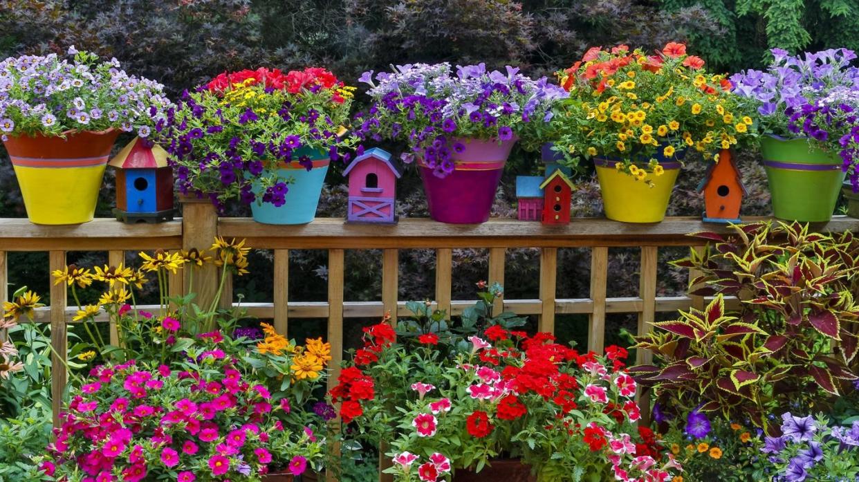 flower bed ideas colorful pots