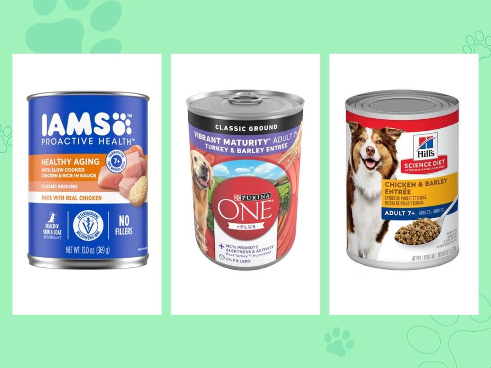 Three cans of wet senior dog food from Iams, Purina, and Hill's are on a green background.