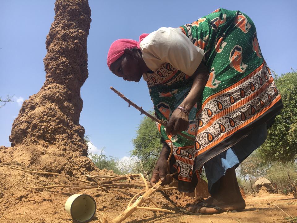 Chepserum prepares to catch termites&nbsp;from a towering termite mound near her home. (Photo: Hannah McNeish)