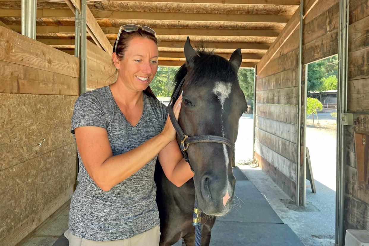 horse in a stable receiving holistic vet care