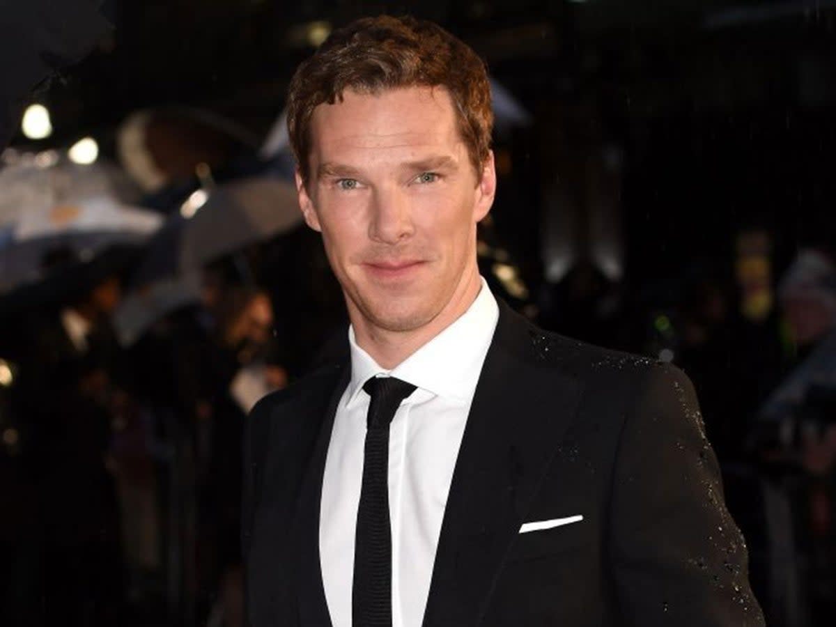 Benedict Cumberbatch got lazy after his GCSEs (Getty Images)