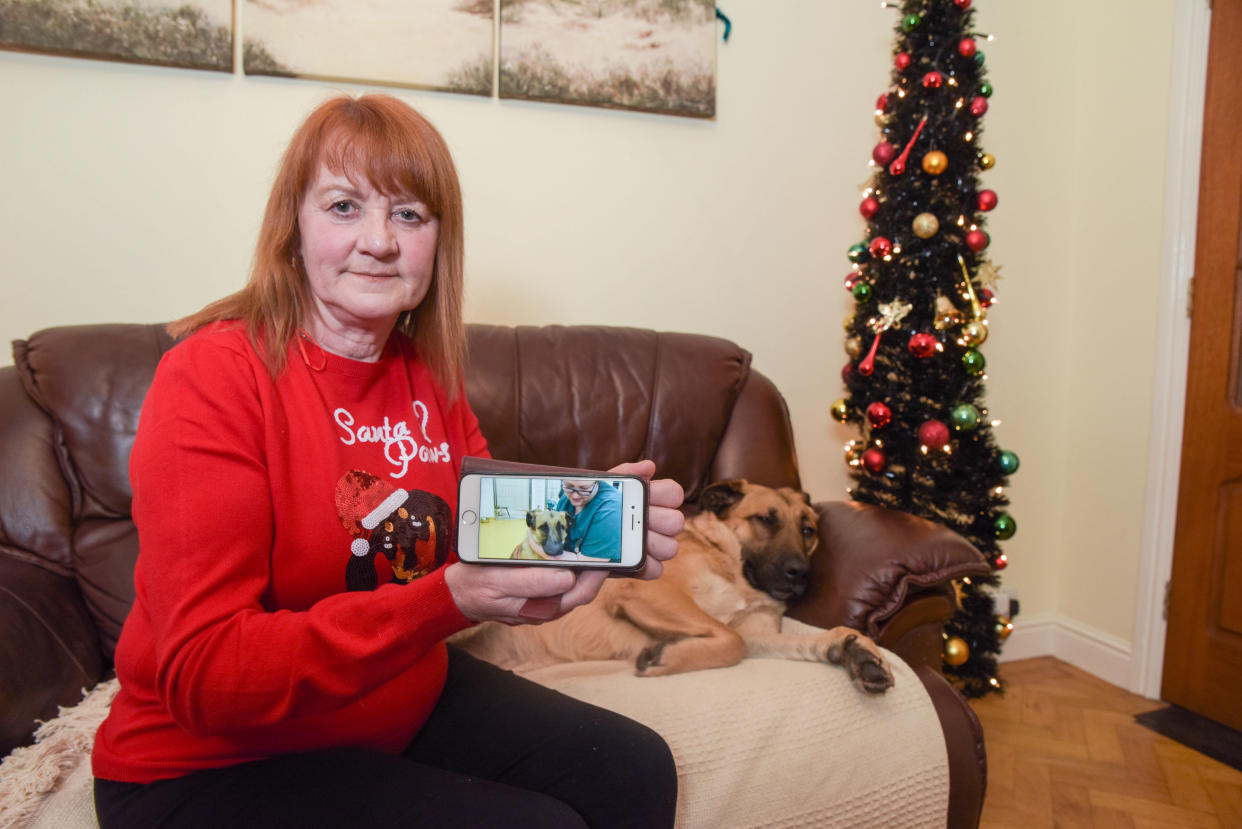 <em>Pauline Warren is warning dog owners not to feed their pets mince pies after her pooch Mickey had a close call (Picture: Caters)</em>