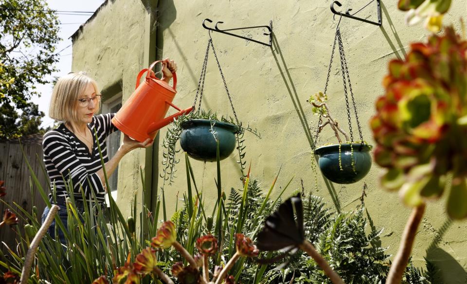 Zan Dubin-Scott has started placing a watering can in her shower to capture water, then uses it to water her potted plants.