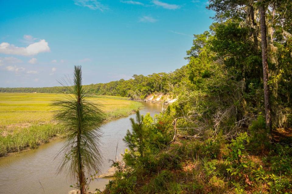 An unspoiled view of the mainland bluff of Pine Island Plantation along Edding Creek on May 23, 2023 where - if developed - either houses and docks would be visible or an 18-hole golf course. Drew Martin/dmartin@islandpacket.com