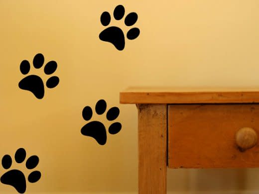 Pawprint Wall Decals