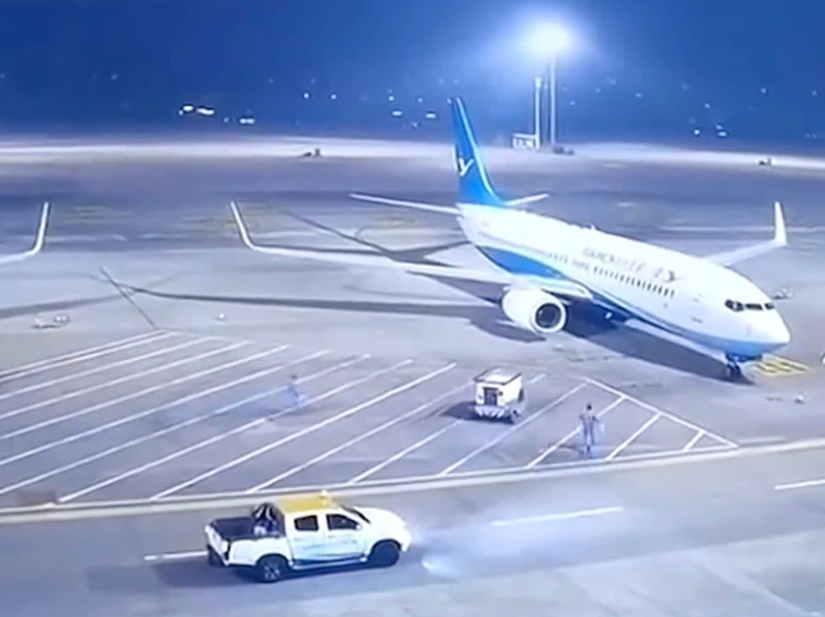 The Xiamen Airlines Boeing 737  sustained minor damage to an engine   (Newsflare/AP)