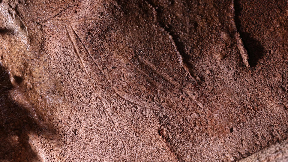 Engraved hind found in Cova Dones.