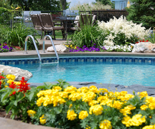 How to remove pollen from a pool – 5 ways to ensure your water