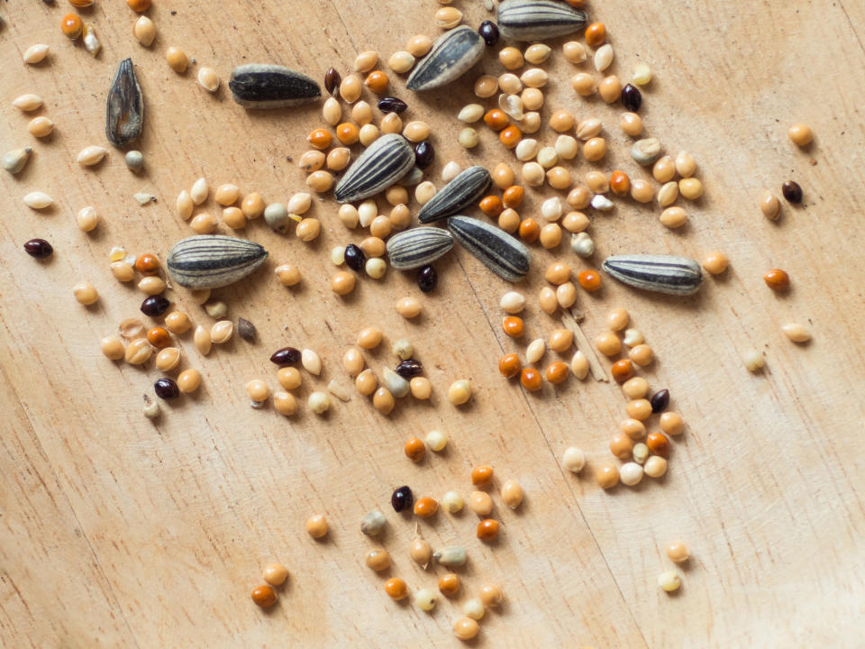 A Guide to Bird Seed and Other Foods—Plus, Which Species Each Will Attract