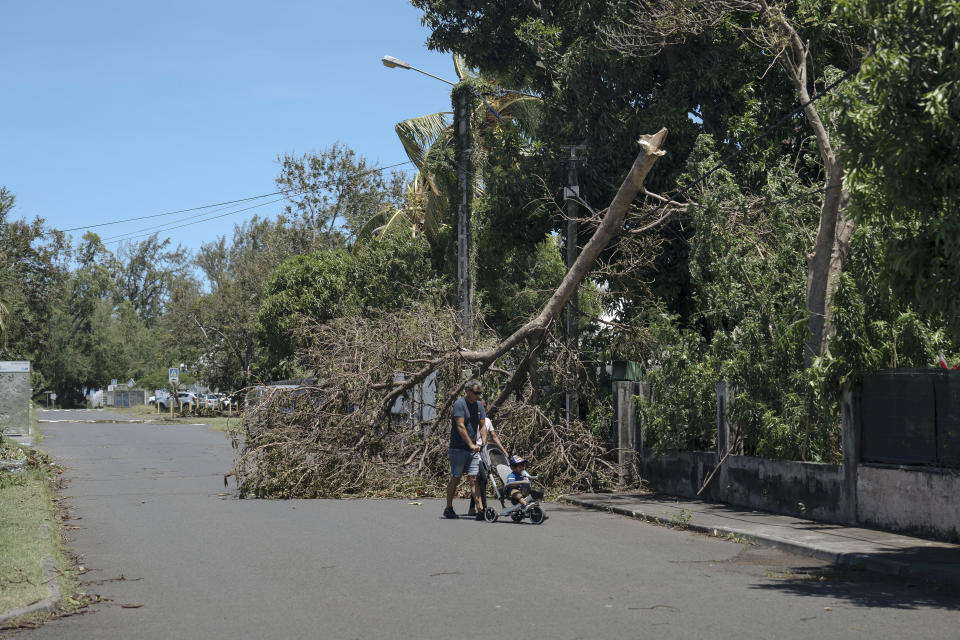People walk beside a fallen tree, in the town of Saint-Paul, on the French Indian Ocean island of Reunion, Tuesday, Jan. 16, 2024. Tropical cyclone Belal had battered the French island of Reunion, where the intense rains and powerful winds left about a quarter of households without electricity after hitting Monday morning, according to the prefecture of Reunion. (AP Photo/Lewis Joly)