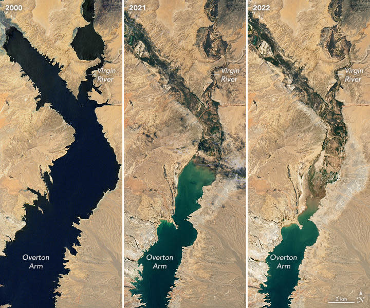 This composition shows the difference in water levels at Lake Mead from July 6, 2000 to July 3, 2022.  / Credit: NASA Earth Observatory