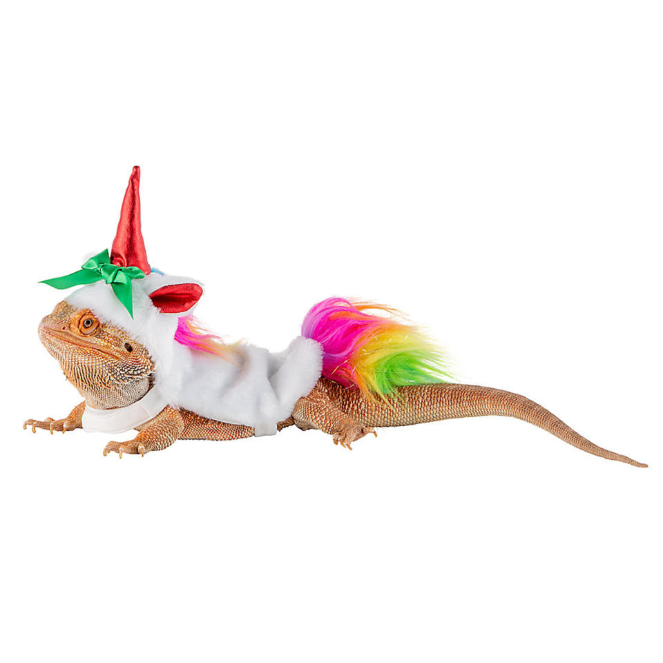 <p>Just when you thought unicorns couldn't get any more magical. </p> <p><strong>Buy it!</strong> Unicorn Reptile Costume, $4.99; <a href="https://petsmart.haujjd.net/c/249354/764629/11083?subId1=PEO15HolidayOutfitsforSmallPetsthatLetReptilesandGuineaPigsJointheFestiveFunkbender1271PetGal13032410202112I&u=https%3A%2F%2Fwww.petsmart.com%2Ffeatured-shops%2Fthe-gift-shop%2Fgifts-for-every-pet%2Freptile%2Fmerry-and-brightandtrade-unicorn-reptile-costume-65958.html" rel="sponsored noopener" target="_blank" data-ylk="slk:PetSmart.com;elm:context_link;itc:0;sec:content-canvas" class="link ">PetSmart.com</a></p>