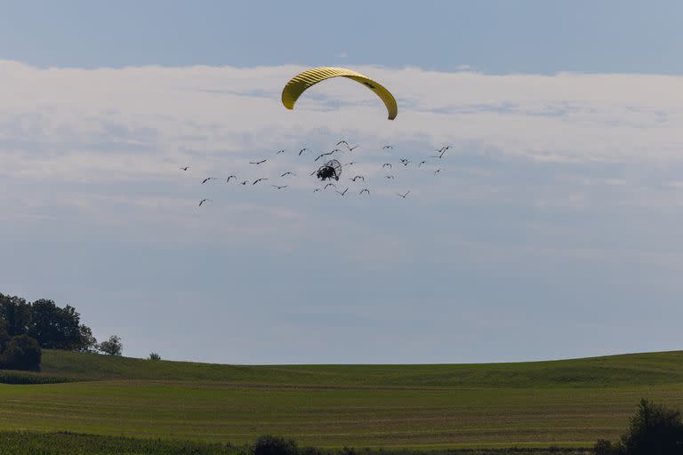 Johannes Fritz lidera el vuelo de aprendizaje de migración de las aves ibis calvo septentrionales sobre los Alpes