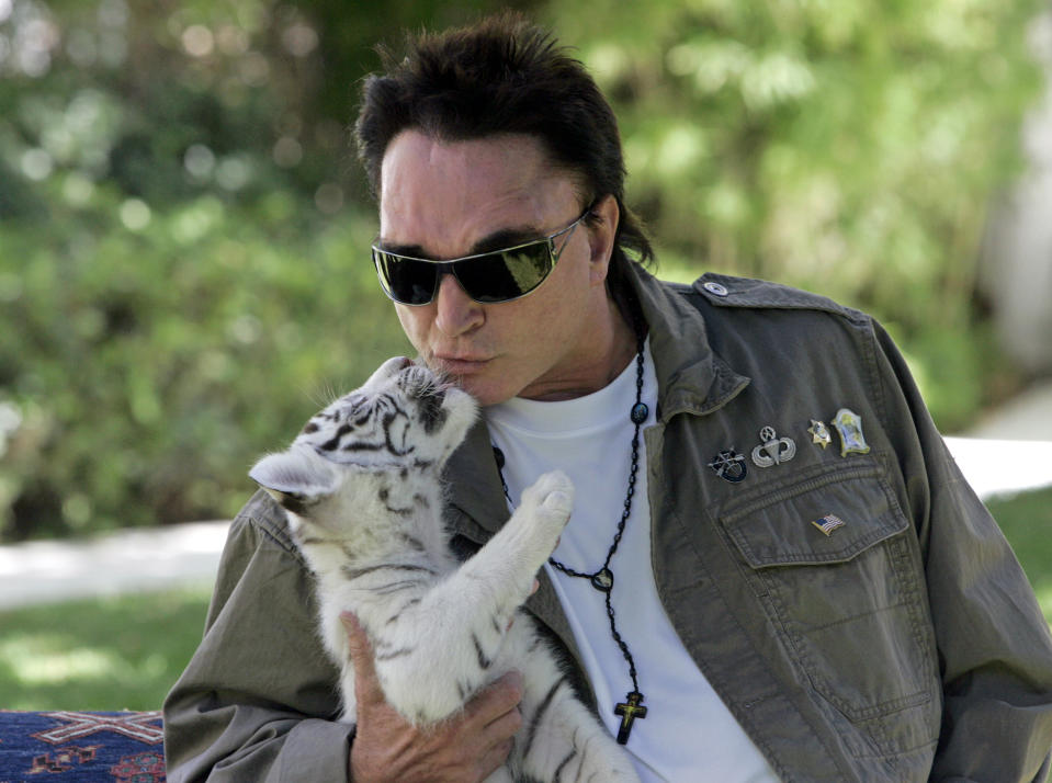 Roy Horn, of the illusionist team of Siegfried & Roy, kisses a six-week-old white-striped tiger cub at his Las Vegas home Thursday, June 12, 2008. The pair are welcoming five new tiger cubs to their exotic habitat on the Las Vegas Strip. Fischbacher said Thursday that working with the tigers is the perfect rehabilitation for Horn, who was critically injured when he was mauled by a 380-pound white Bengal tiger onstage in 2003. (AP Photo/Louie Traub)