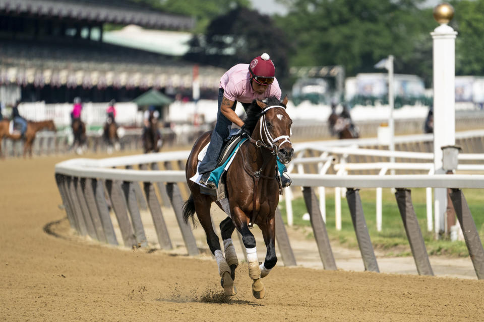 Belmont Stakes entrant Rombauer takes a training run on the main track ahead of the 153rd running of the Belmont Stakes horse race, Wednesday, June 2, 2021, at Belmont Park in Elmont, N.Y. (AP Photo/John Minchillo)