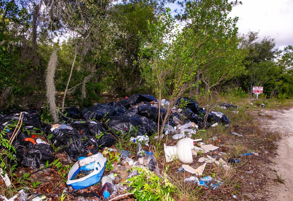 Several dumped bags of household garbage and other items were dumped illegally in an empty lot near the corner of SE 102nd Terrace and SE 125th Lane on 125th Lane in Belleview, photographed May 13.