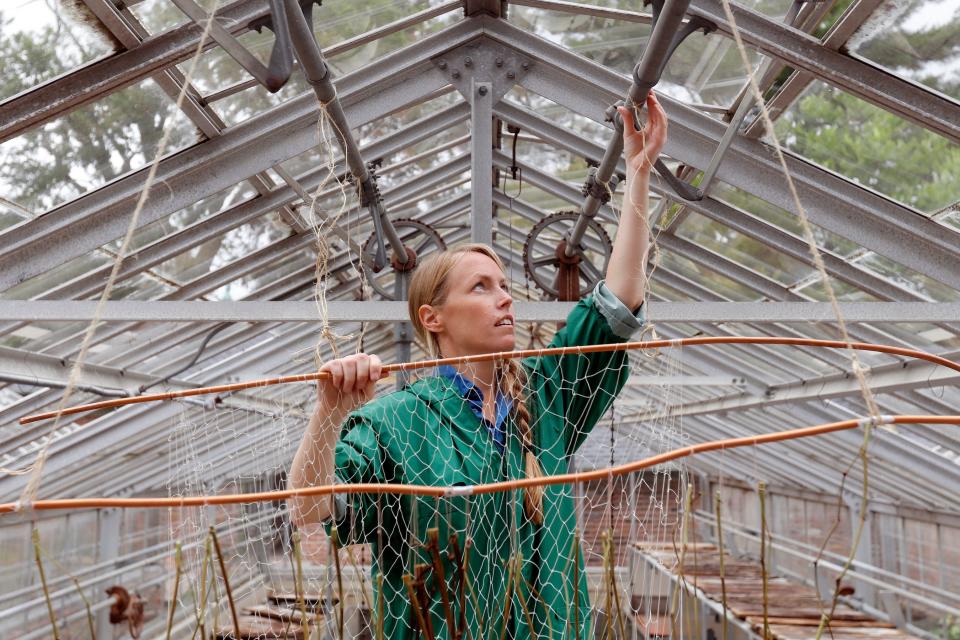Artist Dena Haden installs her piece Every Knot Forever Unraveling the Transparent Walls Between Us inside the Haskell Gardens greenhouse as part of the Maps and Legends show.