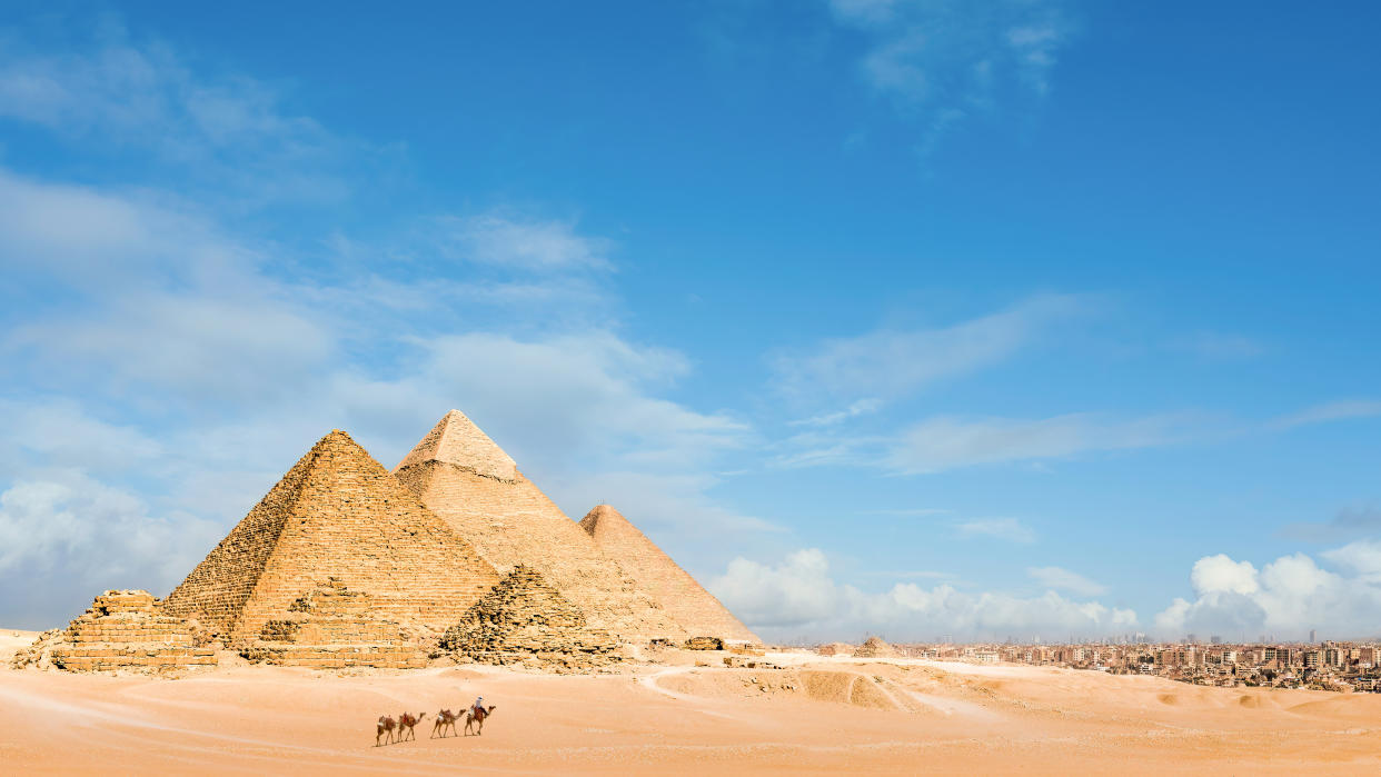 Camels and a view of the pyramids at Giza, Egypt
