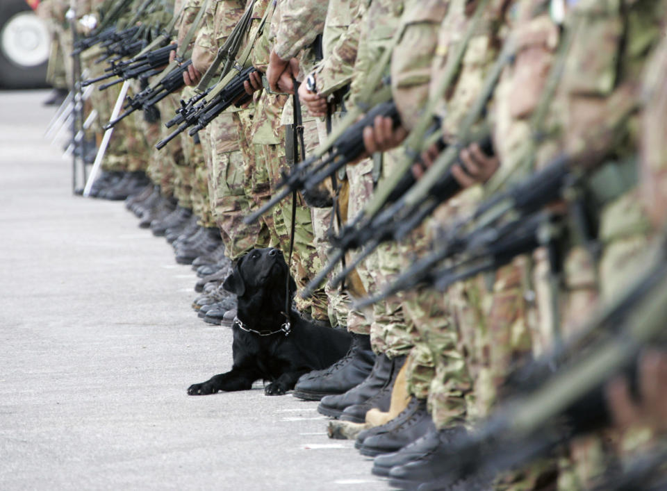 Italian U.N. peacekeepers stand at attention during the visit of Italy's President Giorgio Napolitano to the Italian United Nations Interim Forces (UNIFIL) base in Shamaa village, southern Lebanon November 3, 2009. REUTERS/Ali Hashisho (LEBANON POLITICS MILITARY ANIMALS)