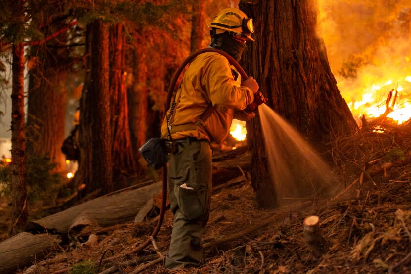 STRAWBERRY, CA - AUGUST 28: A firefighter works a control burn to head off a spot fire that started on a ridge behind a business on Hwy. 50 on Saturday, Aug. 28, 2021 in Strawberry, CA. Firefighters continue to tackle the Caldor fire as it creeps closer to South Lake Tahoe. (Jason Armond / Los Angeles Times)