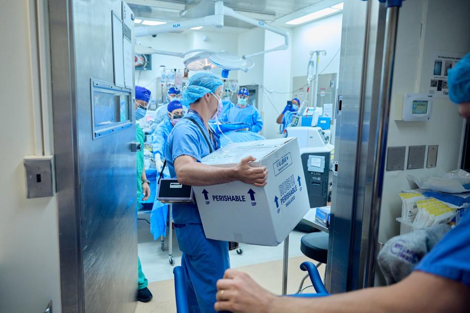 Dr. Adam Griesemer delivers the genetically engineered pig kidney to an operating room at NYU Langone Health.