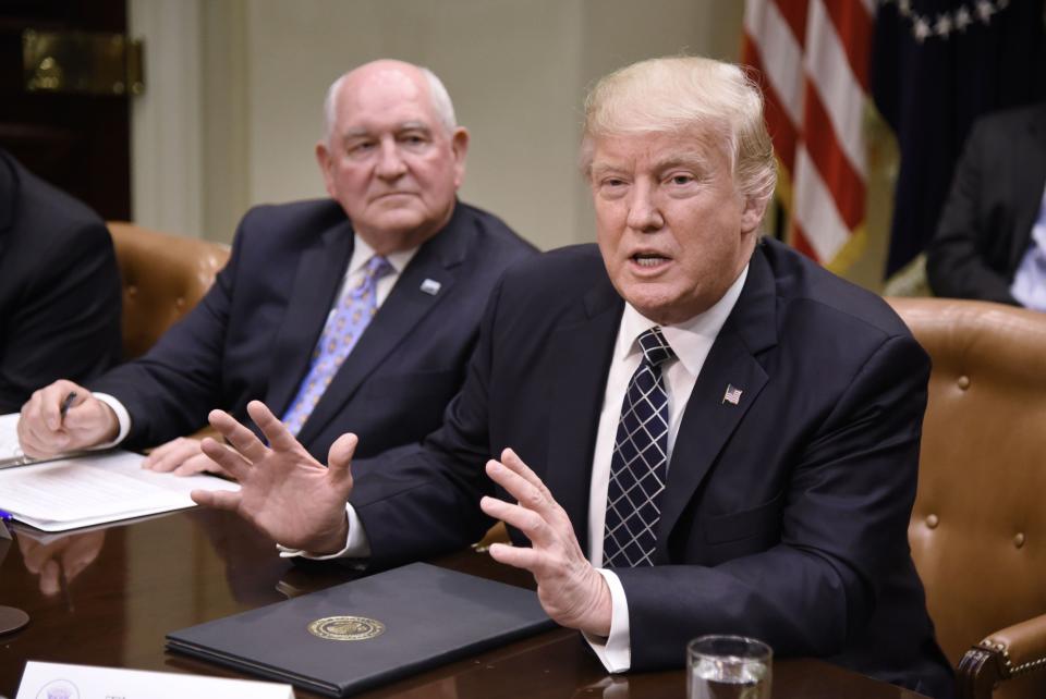 President Donald Trump&nbsp;speaks as Agriculture Secretary Sonny Perdue looks on during a roundtable with farmers at the White House on April 25 in Washington. (Photo: Olivier Douliery-Pool/Getty Images)
