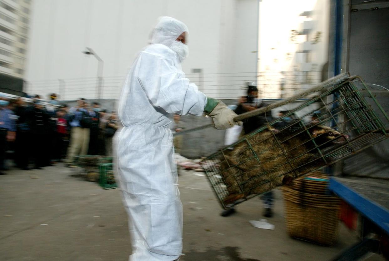 <span class="caption">Government officers seize civets in a wildlife market in Guangzhou, China to prevent the spread of SARS in 2004.</span> <span class="attribution"><a class="link " href="https://www.gettyimages.com/detail/news-photo/guangzhou-government-officers-seize-civet-cats-in-xinyuan-news-photo/1124783111?adppopup=true" rel="nofollow noopener" target="_blank" data-ylk="slk:Dustin Shum/South China Morning Post via Getty Images;elm:context_link;itc:0;sec:content-canvas">Dustin Shum/South China Morning Post via Getty Images</a></span>