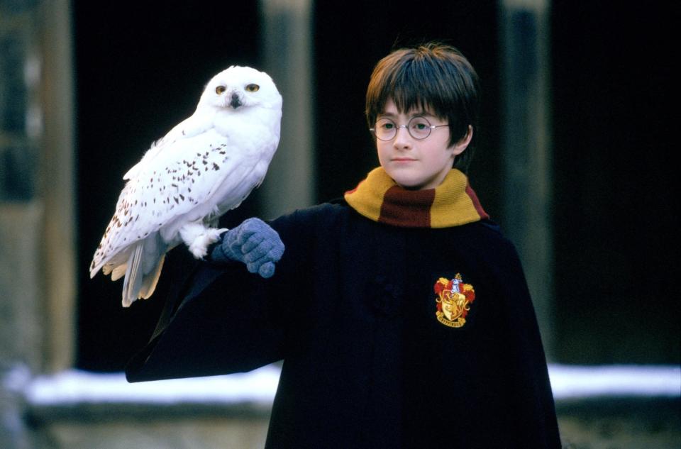 Daniel Radcliffe wurde als Harry Potter weltberühmt. (Bild: ddp images)