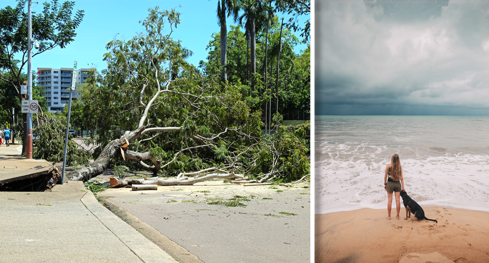 Dr Bloemendaal is calling on regions to work towards mitigating cyclone impact to prevent 