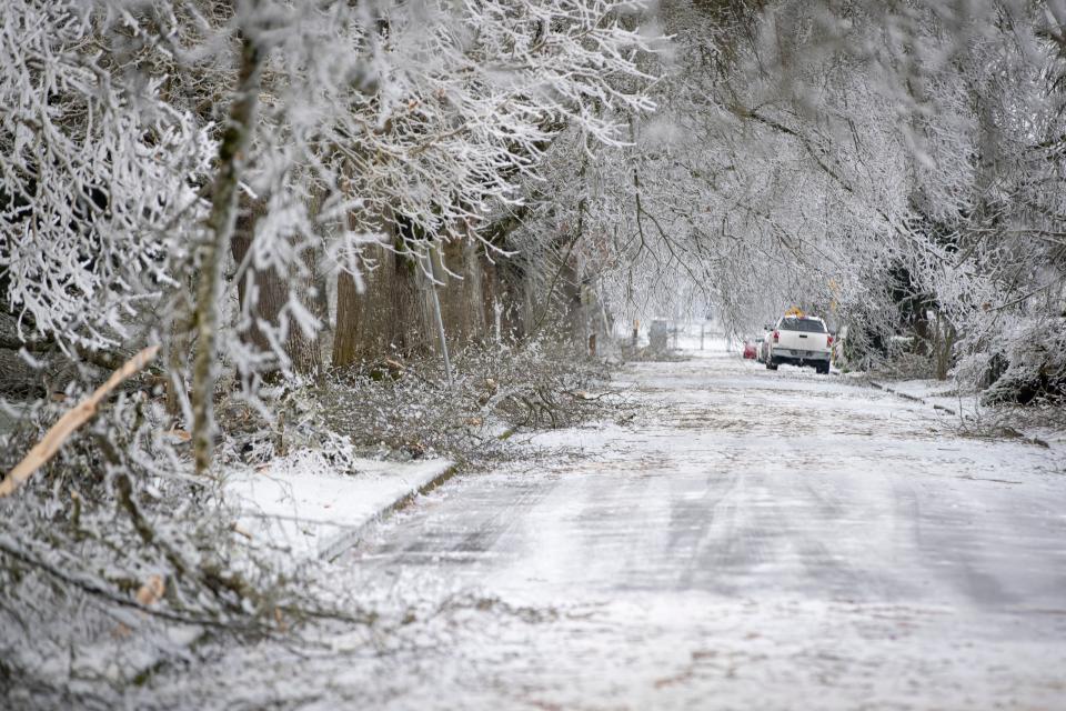 Fallen trees line I Street near Willamalane Park during a winter storm Tuesday, Jan. 16, 2024, in Springfield, Ore.