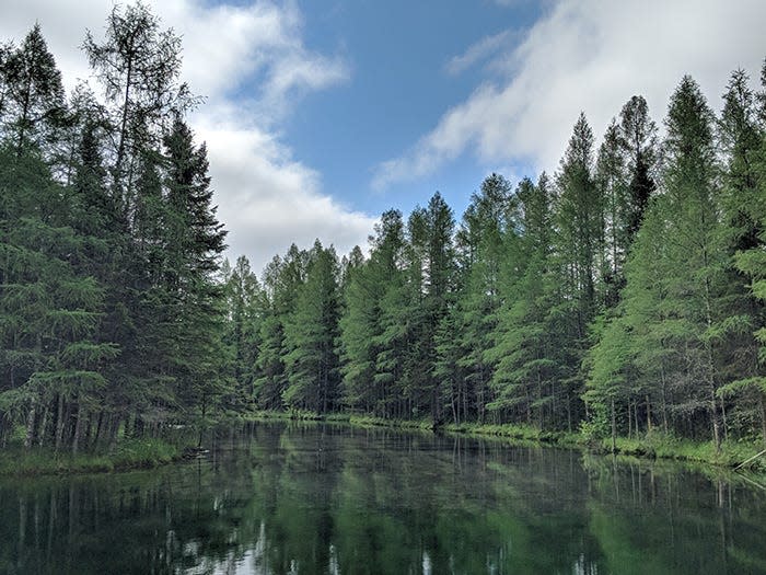 A view of the big spring in Palms Book state park.