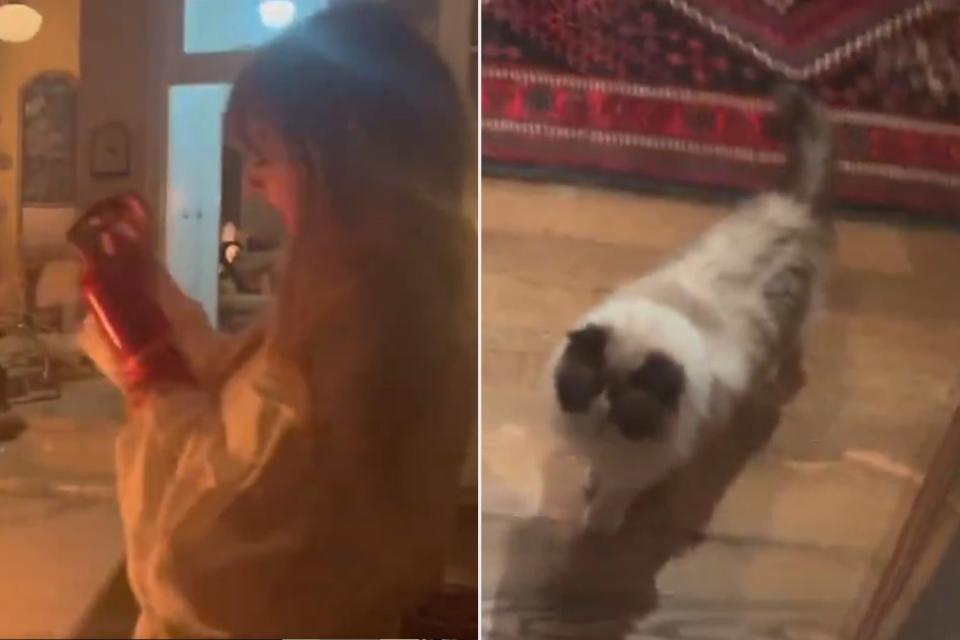 <p>gracieabrams/X</p> Taylor Swift puts out fire as her cat Benjamin Button looks on.