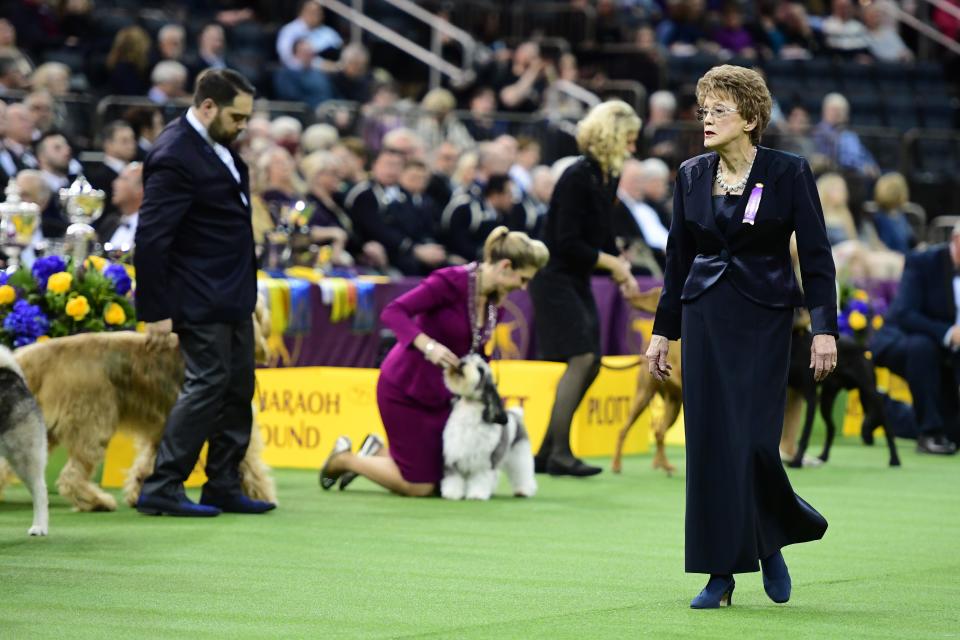 Hound Group Judge Ms. Patricia Craige Trotter looks on during the 143rd Westminster Kennel Club Dog Show at Madison Square Garden on February 11, 2019 in New York City.