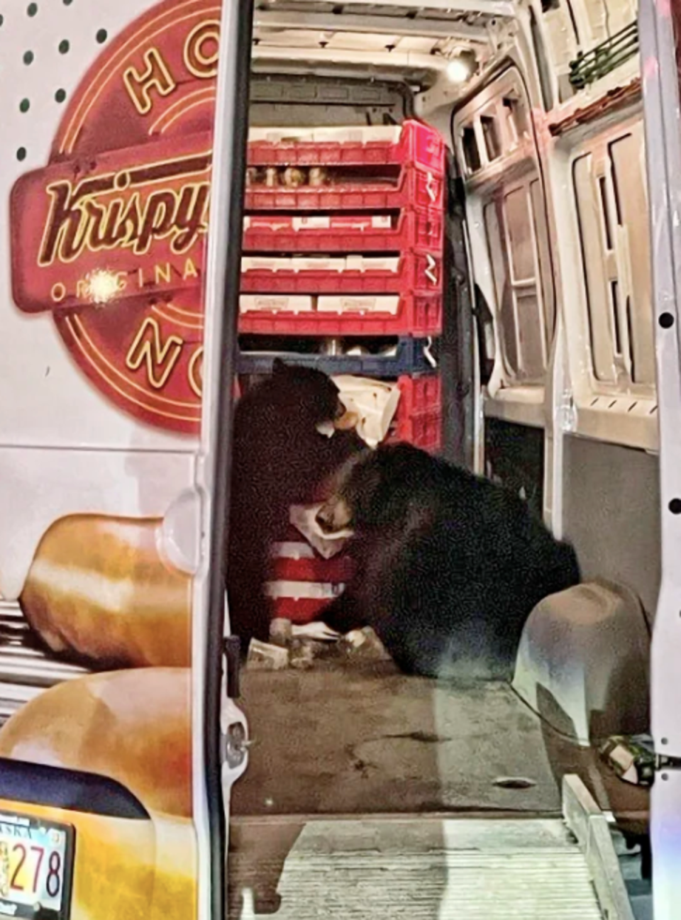 Two bears raided a Krispy Kreme doughnut van on an Alaska military base (Shelly Deano via AP)