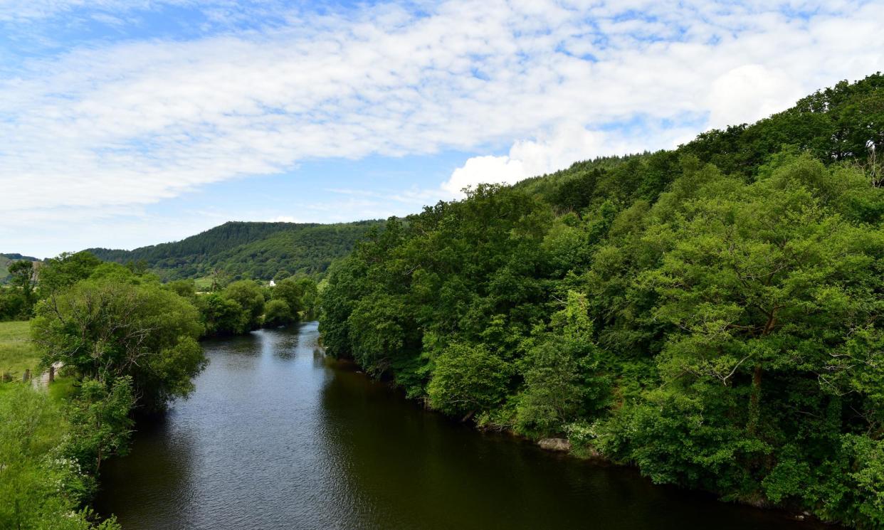 <span>The elevated view from the new Dyfi bridge brings a new perspective.</span><span>Photograph: John Gilbey</span>