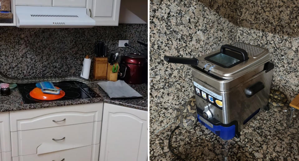 A photo of the Townsville man's kitchen where there's a carpet python slithering on the bench tops. A photo of the carpet python hiding behind a deep fryer.