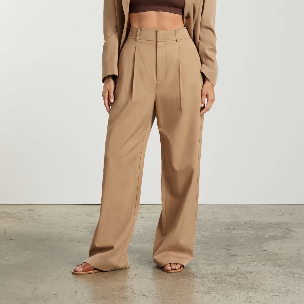 Everlane Way-High Drape Pant