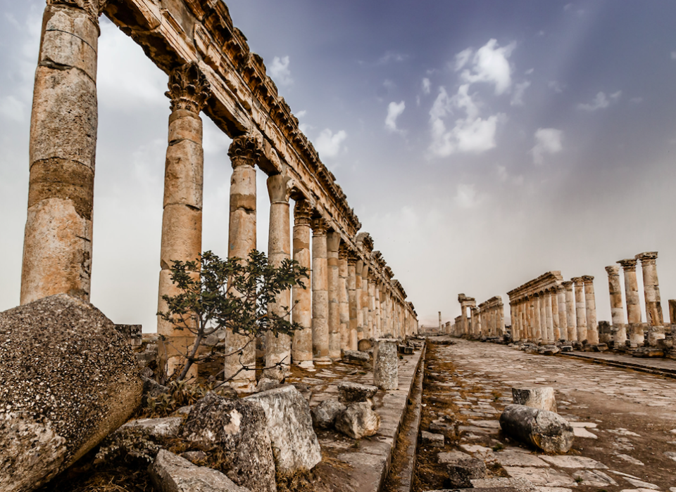 Where History Happened winner Martin Chamberlain captured the Great Colonnade in Palmyra, Syria.